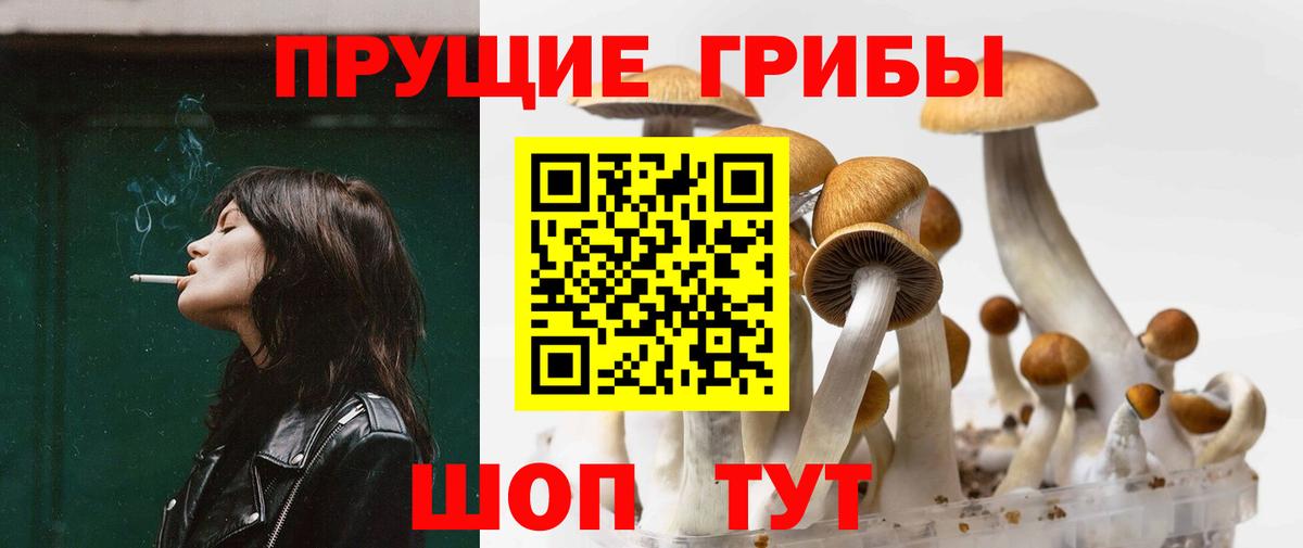 Псилоцибиновые грибы Cubensis  Псилоцибиновые грибы Cubensis  Вход с VPN  Москва 